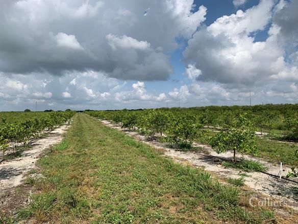 Murphy Road, Bartow, FL 33830